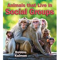 Animals that Live in Social Groups (Big Science Ideas) Animals that Live in Social Groups (Big Science Ideas) Paperback Library Binding