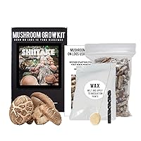 North Spore Shiitake Mushroom Outdoor Log Grow Kit | Includes (100) Plugs, Wax w/Applicator, and Drill Bit | Complete Instructions Included | Made in Maine, USA | Grow Mushrooms on Logs
