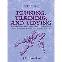 Pruning, Training, and Tidying: Bob's Basics