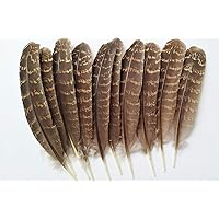 Lampu Natural Turkey Feathers 5-7 inches Party DIY Decoration per Pack of 10