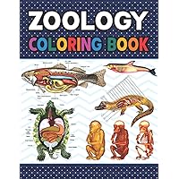 Zoology Coloring Book: Learn The Zoology & Enhance Your Practice. Younger kids for learn anatomy dog, cat, horse, turtle, frog, bird, fish. Veterinary ... Dog Cat Horse Bird Anatomy Coloring book.