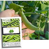 Sugar Daddy Snap Pea Seeds for Planting, 50+ Heirloom Seeds Per Packet, (Isla's Garden Seeds), Non GMO Seeds, Botanical Name: Pisum sativum, Great Home Garden Gift