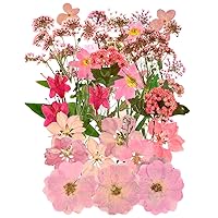 37pcs Natural Dried Flowers Mixed Multi-Color Pressed Flower Mini Rose Hydrangea Daisy for Art Craft DIY Resin Nail Art Floral Decors