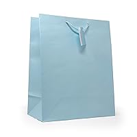 allgala 12PK Value Premium Solid Color Paper Gift Bags (13