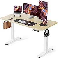 ErGear Height Adjustable Electric Standing Desk, 48 x 24 Inches Sit Stand up Desk, Memory Computer Home Office Desk (Natural)