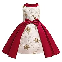 Girls Sleeveless Dress Kids Embroidered Sequin Princess Dress
