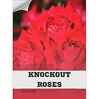 Knockout Roses: Become flowers expert Knockout Roses: Become flowers expert Kindle Paperback