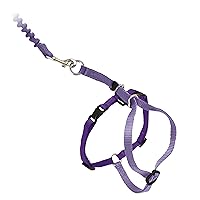 PetSafe Come With Me Kitty Harness and Bungee Leash, Harness for Cats, Small, Lilac/Bright Purple