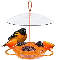 Nature's Way OFP1 All-in-One Oriole Buffet Bird Feeder, Orange