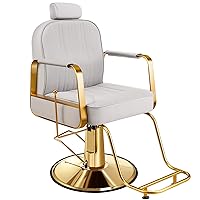 Baasha Premium Reclining Salon Chair, All-Purpose Hair Chair with Adjustable Headrest and Backrest, Professional Gray and Gold Salon Chair with Comfortable Seat Cushion, Beauty Chair for Home & Salon