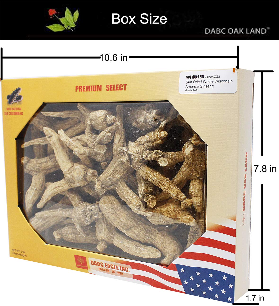 DABC OAK LAND 1LB=453gm/Box Hand-Selected American Wisconsin Farmed Ginseng Root | XX-Large 美国长枝西洋参 花旗参 礼盒装 |Cultivated American Wisconsin Ginseng W1 0150#XXL Box