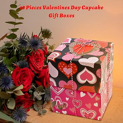FSEHWWN 18 Pcs Valentines Boxes Valentines Day Gift Box Chocolate Heart Cookie Boxes with Window Hearts Goody Candy Box with Tags and Rope for Valentines Party Favors