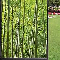 Bamboo Frosted Window Film Privacy Film,Exotic Tropical Bamboo Forest with Fresh Color Nature Wild Trees and Leaves Print Window Films Decorative for Home UV Blocking Privacy,Green 24
