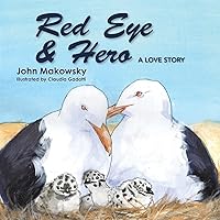 Red Eye and Hero: A Love Story Red Eye and Hero: A Love Story Paperback Kindle Hardcover
