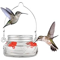 Nature's Way Bird Products MJF1 Nature's Way Mason Jar Hummingbird Dish Feeder, Clear 4