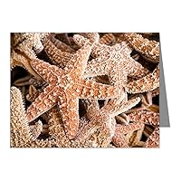 Note Card Collection Of Starfish