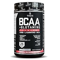 SASCHA FITNESS BCAA 4:1:1 + Glutamine,HMB,L-Carnitine,HICA | Powerful and Instant Powder Blend with Branched Chain Amino Acids (BCAAs) for Pre,Intra and Post-Workout |Natural Watermelon Flavor,362.5g