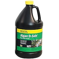 CrystalClear Algae D-Solv Pond Algae Control, Fast-Acting EPA Registered Algaecide, Use in Fountains & Outdoor Ponds Containing Koi & Other Fish, Treats 46,080 Gallons, 1 Gallon