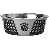 PetRageous 13098 Fiji Stainless Steel Non-Slip Dishwasher Safe Dog Bowl 3.75-Cup Capacity 6.75-inch Diameter 2.5-inch Tall for Medium and Large Dogs, Light Grey and Black