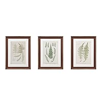 Martha Stewart Lady Fern Collection Wall Art Living Room Decor - Framed Linen Canvas