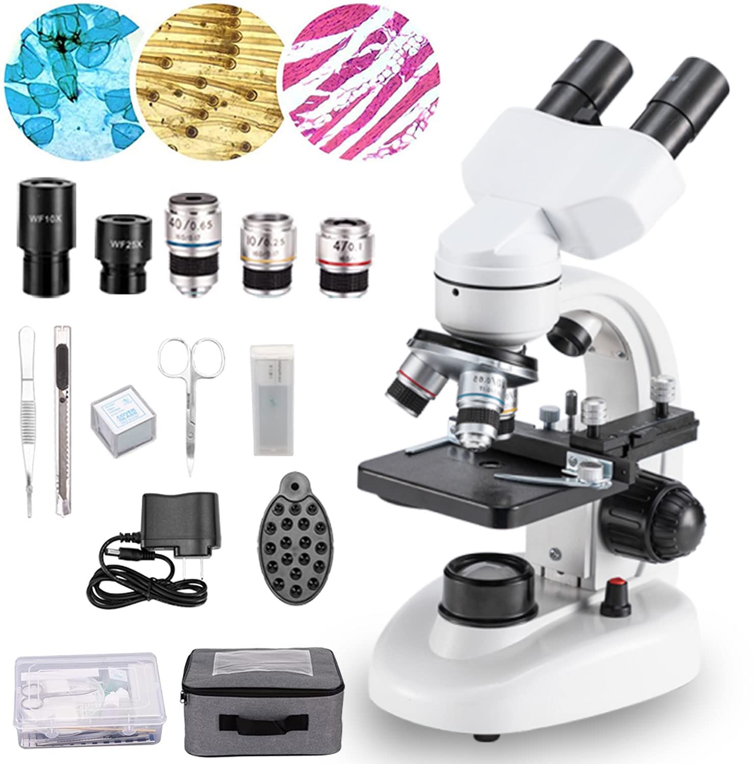 Compound Binocular Microscope,WF10x and WF25x Eyepieces,40X-2000X Magnification, LED Illumination Two-Layer Mechanical Stage,Microscope for Adults…