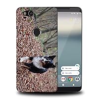 Australian Shepherd Dog 2 Phone CASE Cover for Google Pixel 2