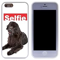 I Love My Black Newfoundland Dog Hybrid iPhone Case for Apple iPhone 5 & 5s