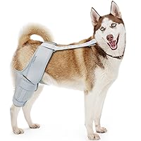 Dog Knee Brace, Leg Brace for Large and Small Dogs with ACL, CCL, Cruciate Ligament Injuries, Patella Dislocation, or Osteoarthritis for Both Back and Front Legs, Size XXL