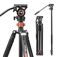 Cayer FP2450 Fluid Head Tripod, 75 inches Aluminium Video Tripod, 4-Section Compact Camera Tripod Convertible to Monopod for DSLR Camera, Load Capacity up to 13.2 Pounds