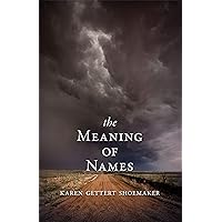The Meaning of Names The Meaning of Names Kindle Paperback Audible Audiobook