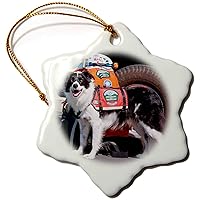 3dRose Border Collie Search and Rescue Dog Beside Rescue Vehicle - Ornaments (orn-230342-1)