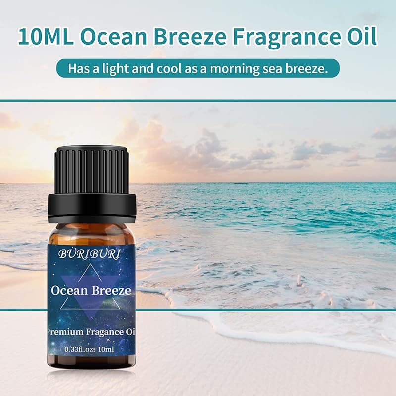BURIBURI Bay Rum Fragrance Oil, Aromatherapy Essential Oil For