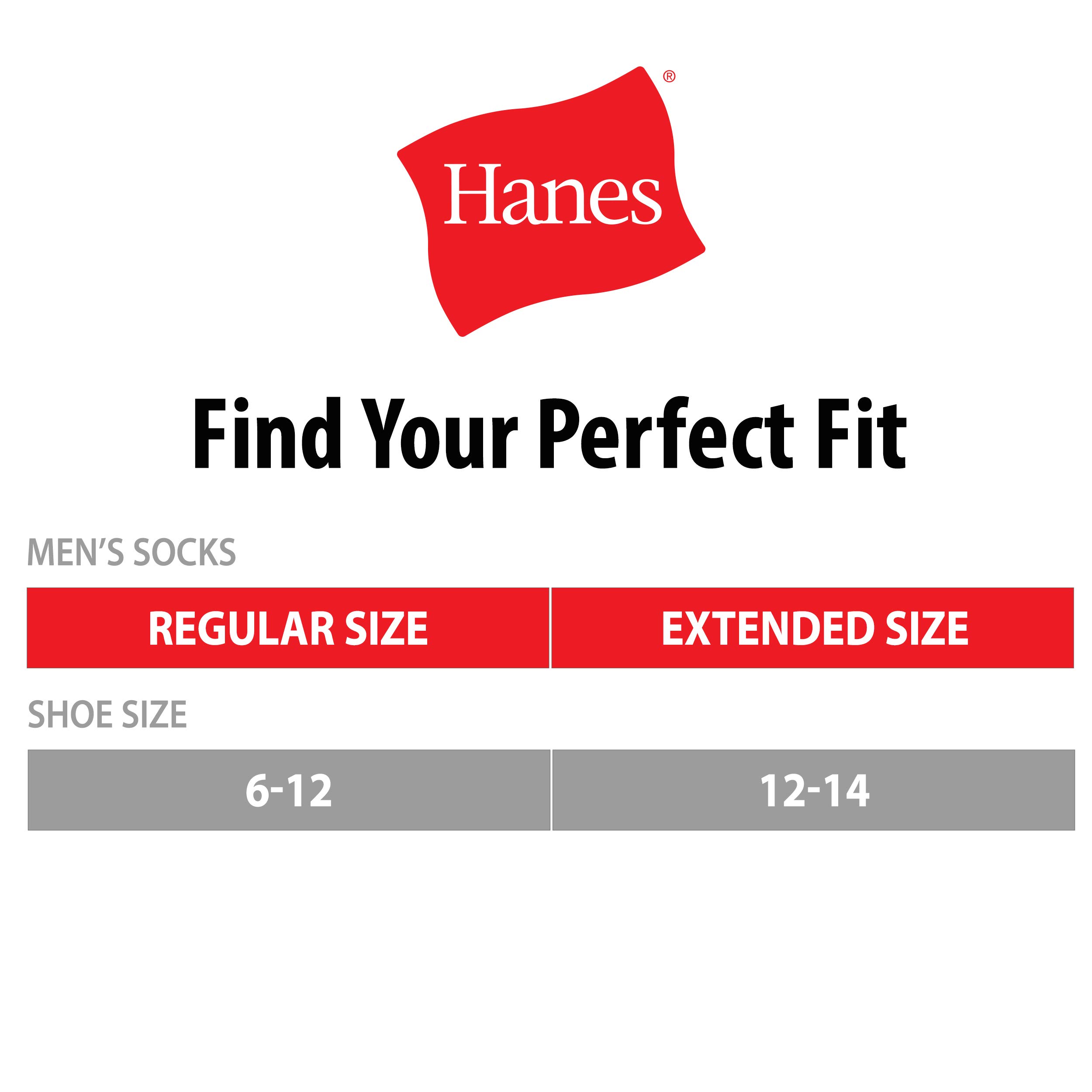 Hanes Men's Max Cushioned Ankle Socks, Multi-Packs