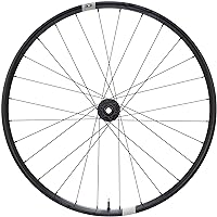 Crank Brothers Synthesis Enduro Boost Wheel - 29in Front, 15x110mm