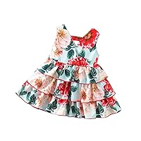 Girl Elastic Waist Short Puff Sleeve Dress Girls Ballet Dress