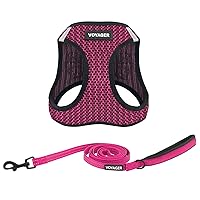 Voyager Step-in Air All Weather Mesh Harness and Reflective Dog 5 ft Leash Combo with Neoprene Handle, for Small, Medium and Large Breed Puppies by Best Pet Supplies - Fuchsia (2-Tone), M