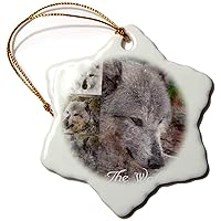 3dRose WhiteOaks Photography and Art - Layer Effect - Wolf Collage - Ornaments (orn-180494-1)