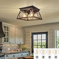 FadimiKoo Flush Mount Ceiling Light Fixtures for Kitchen Hallway, 4-Light Close to Ceiling Lighting, Industrial Farmhouse Square Cage Ceiling Lamp for Dining Room, Living Room, Included Light Bulbs