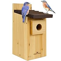 Wild Wings WWCH3 Cedar Blue Bird Box House