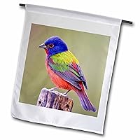 3dRose Danita Delimont - Birds - Painted Bunting male bird perched - US44 LDI1047 - Larry Ditto - 12 x 18 inch Garden Flag (fl_147129_1)