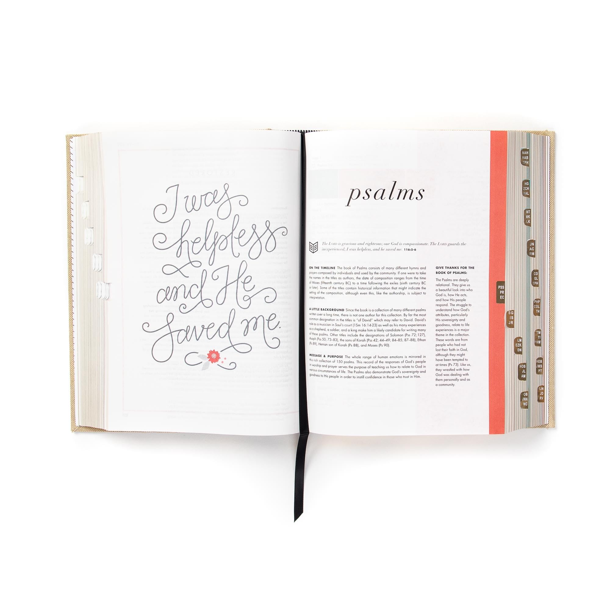 CSB She Reads Truth Bible, Sand Cloth over Board, Indexed, Black Letter, Full-Color Design, Wide Margins, Journaling Space, Devotionals, Reading Plans, Single-Column, Easy-to-Read Bible Serif Type