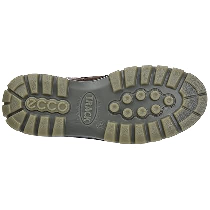 ECCO Men's Track 25 Low Gore-tex Waterproof Hiking Shoe
