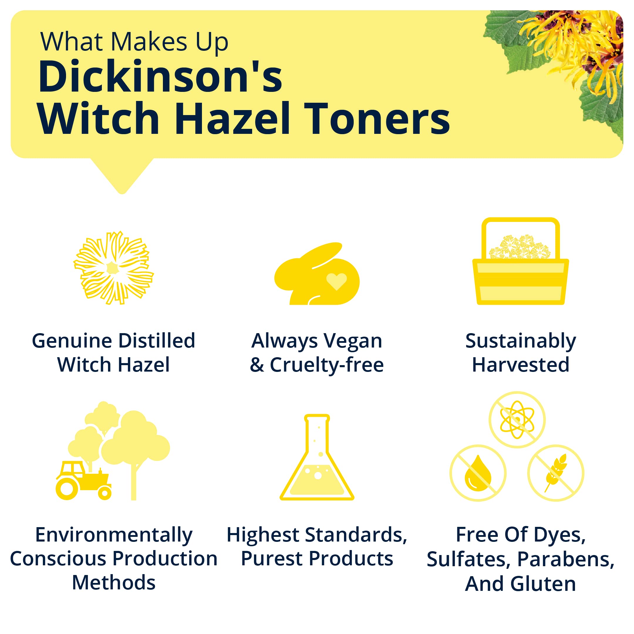 Dickinson's Witch Hazel Brightening Toner + Serum with Grapefruit