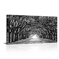 RnnJoile Oak Tree Wall Art Black and White Tree Painting Picture Oak Lined Road at Historic Wormsloe Plantation Savannah Georgia Prints Home Office Decor Framed 24