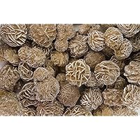 Fantasia Materials: 1/2 lb Gypsum Desert Rose Stones - Avg 8-12 pcs/lb - Raw Rough Natural Selenite Crystals