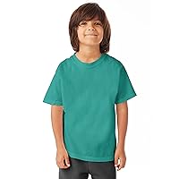 Hanes Youth 5.5 Oz, 100% Ringspun Cotton Garment-Dyed T-Shirt