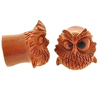 Pair of Sabo Wood Spazzy Owl Plugs with Arang Wood Inlay Eyes