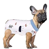 SAWMONG Dog Recovery Suit, Recovery Suit for Dogs After Surgery, Dog Spay Surgical Suit for Female Dogs, Dog Onesie Body Suit for Surgery Male Substitute Dog E-Collar Cone, Plant Blue, X-Small