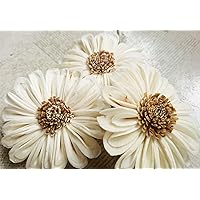 25 Sunflower Artificial Sola Wood Flower Diffuser Flowers 5 cm Dia. for Decorate Craft White Nature