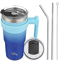 20oz Tumbler with Handle and 2 Straw 2 Lid, Insulated Water Bottle Stainless Steel Vacuum Cup Reusable Travel Mug,Sky